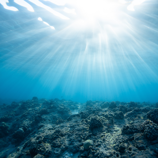 L’impact écologique du nettoyage nautique