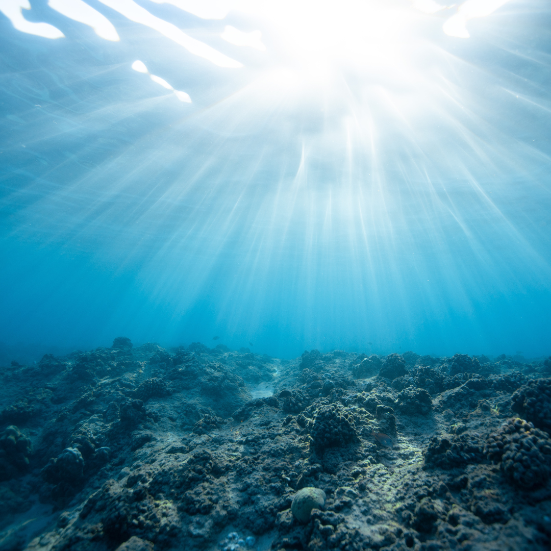 L’impact écologique du nettoyage nautique