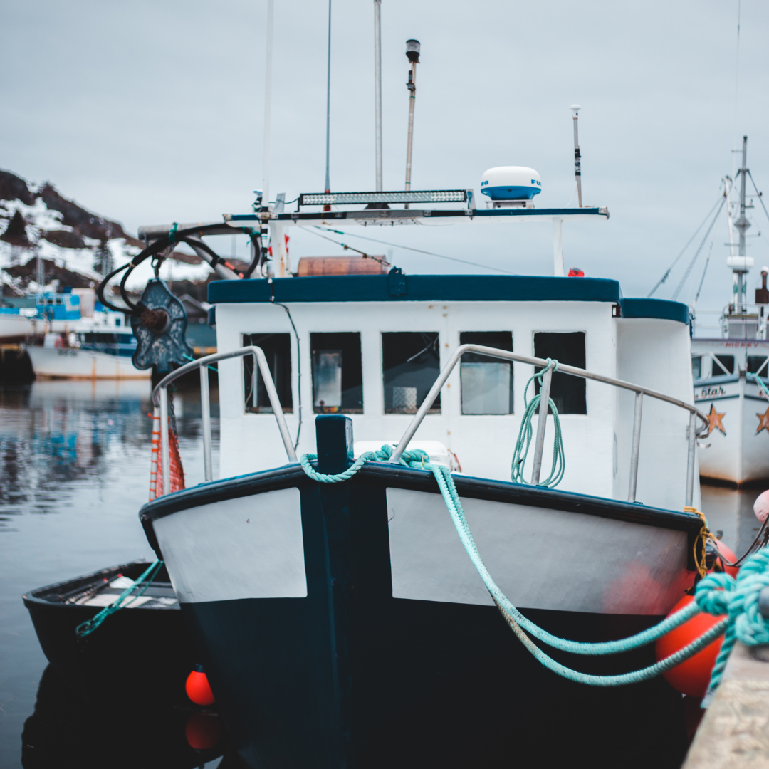 Nettoyer un bateau en hiver : conseils et précautions