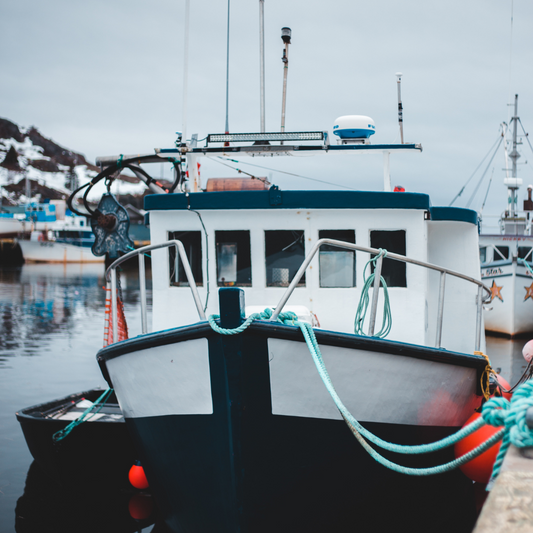 Nettoyer un bateau en hiver : conseils et précautions